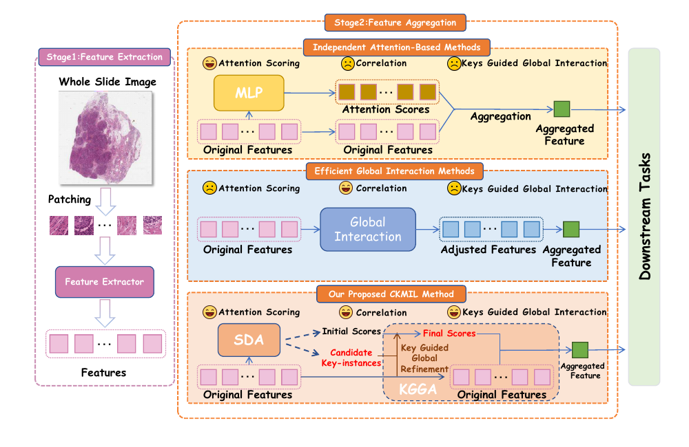 CKMIL: Cascaded Key-Instance Attention Multiple Instance Learning for Histopathology Whole Slide Image Analysis
